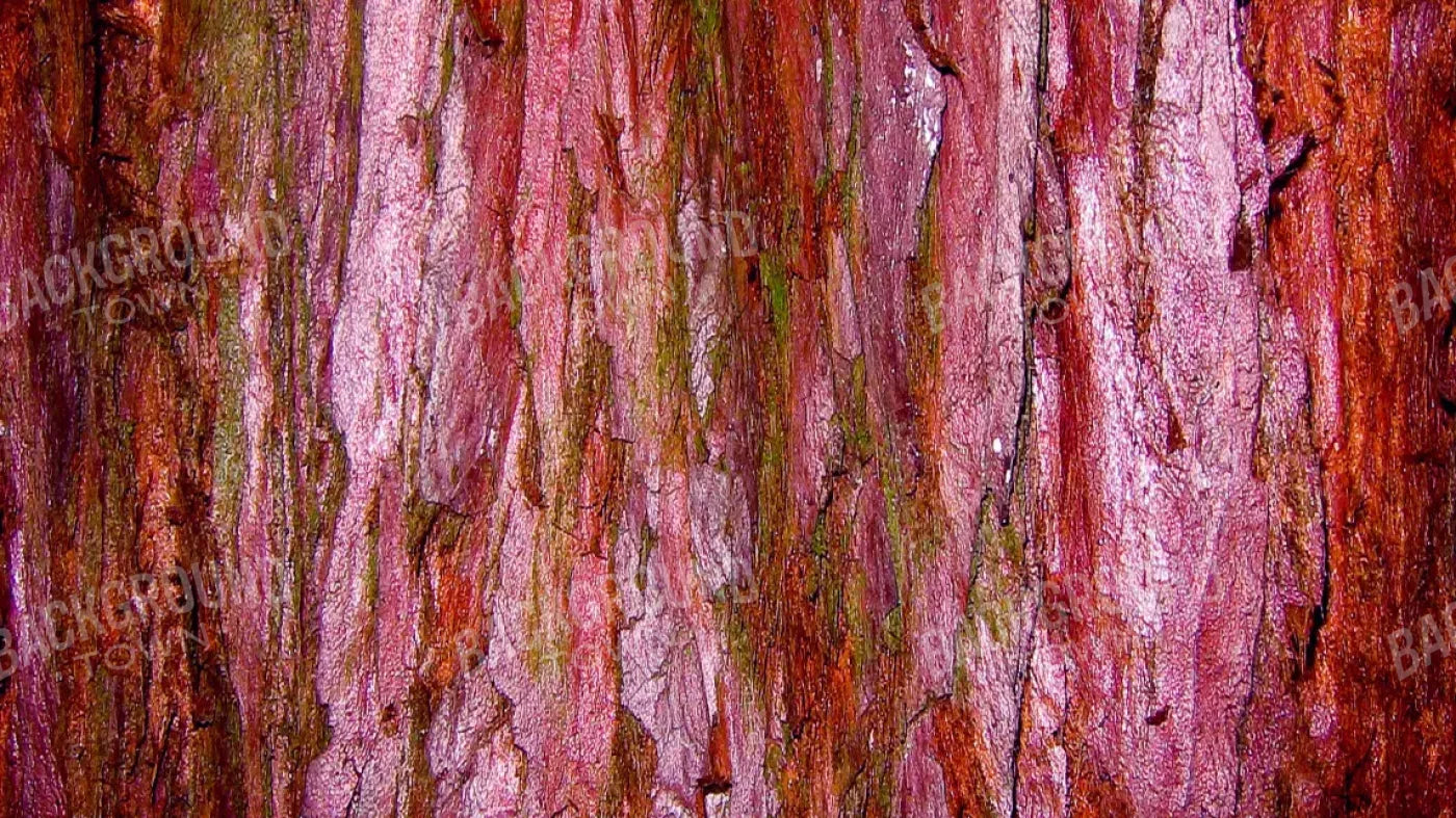 Eve 14X8 Ultracloth ( 168 X 96 Inch ) Backdrop