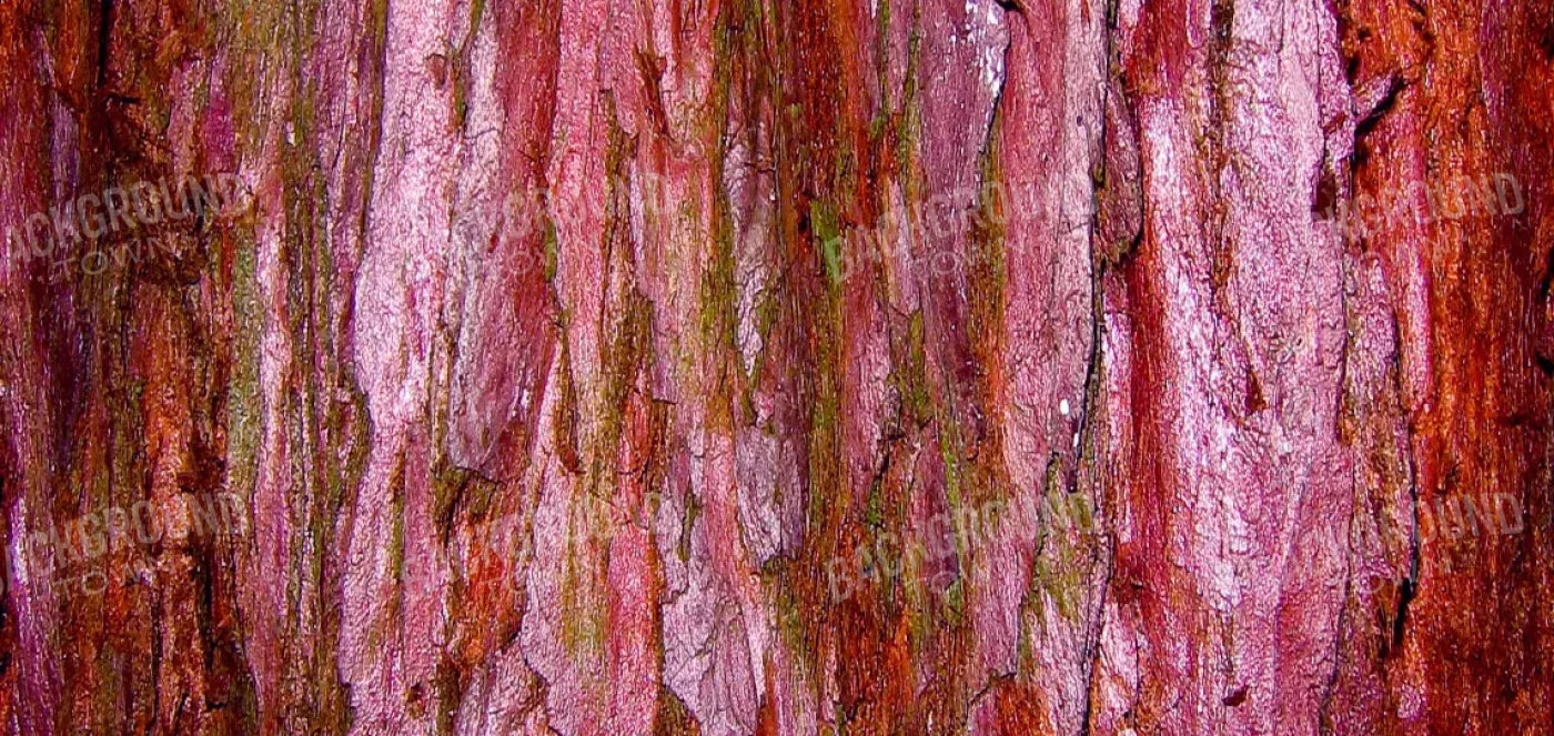 Eve 16X8 Ultracloth ( 192 X 96 Inch ) Backdrop