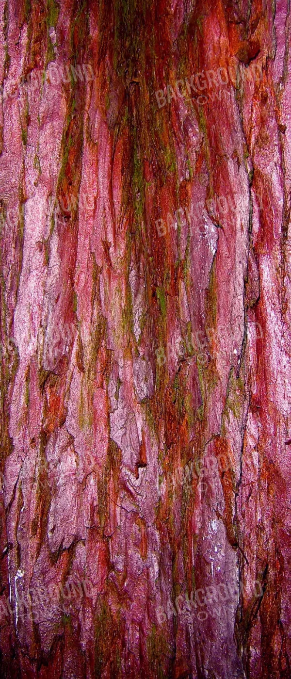 Eve 5X12 Ultracloth For Westcott X-Drop ( 60 X 144 Inch ) Backdrop