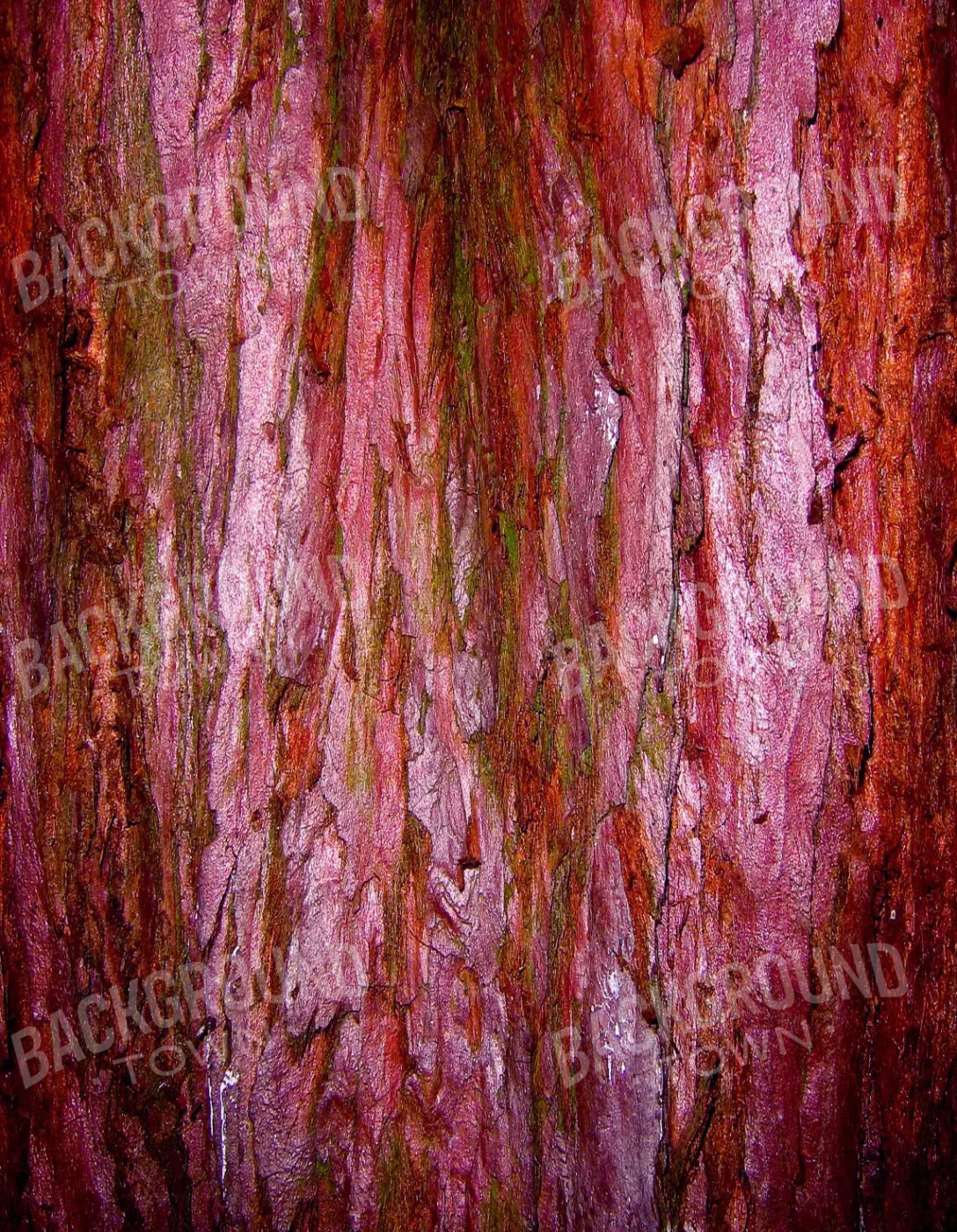 Eve 6X8 Fleece ( 72 X 96 Inch ) Backdrop