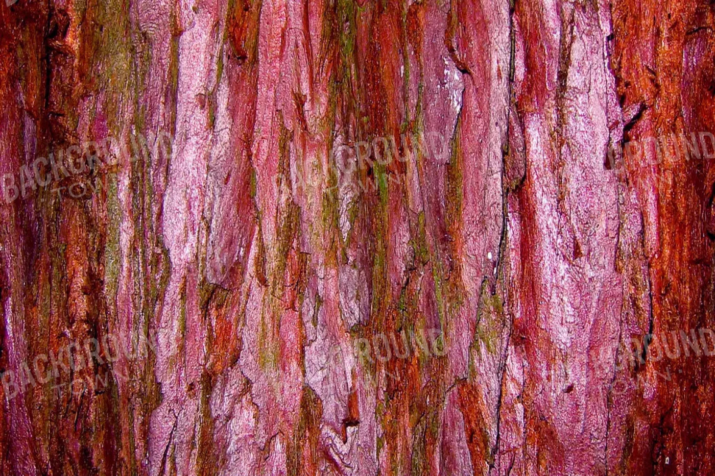 Eve 8X5 Ultracloth ( 96 X 60 Inch ) Backdrop