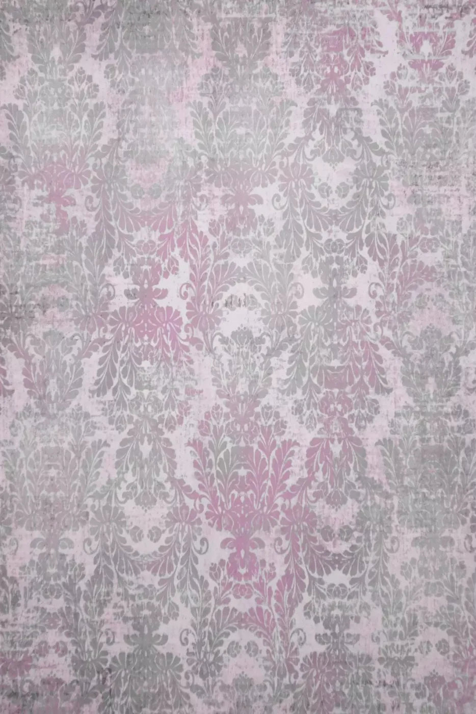 Evelyn Backdrop