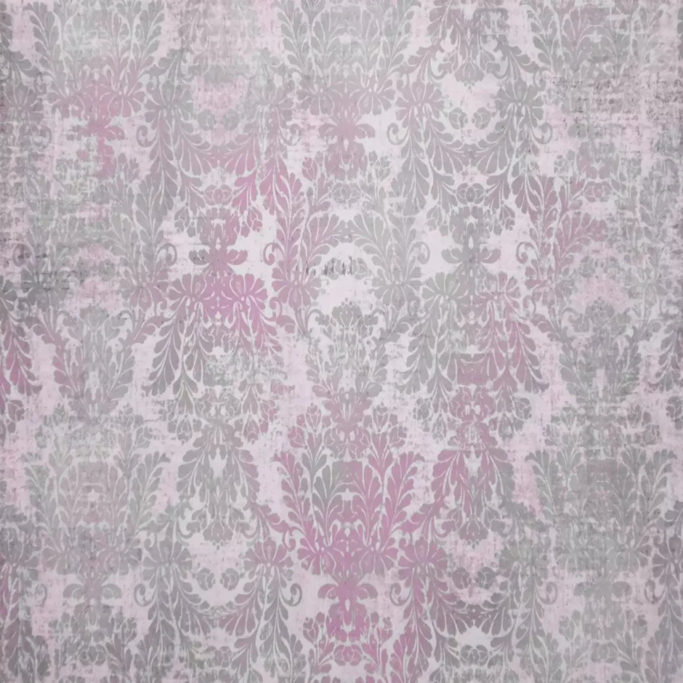 Evelyn Backdrop