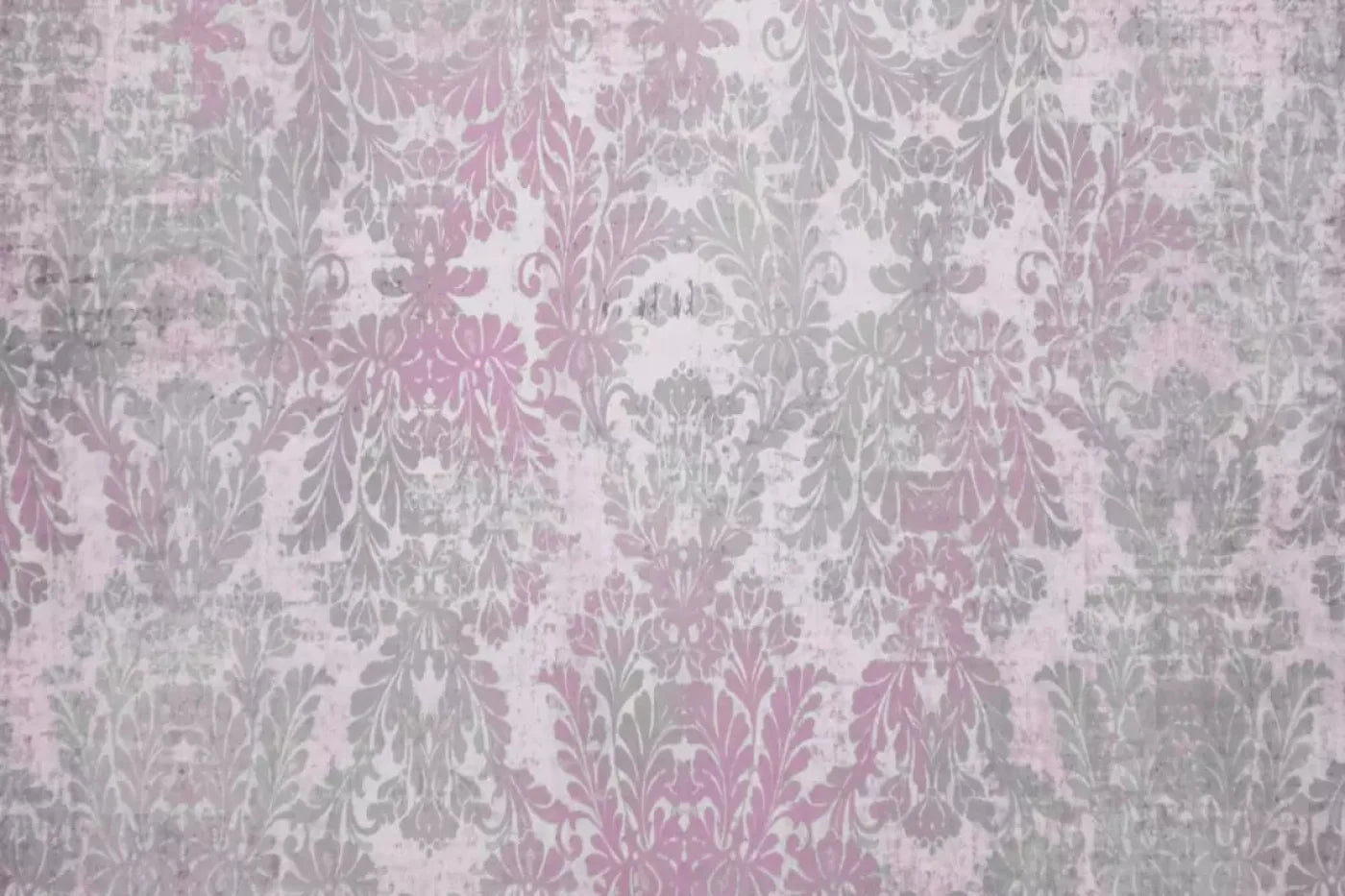 Evelyn Backdrop