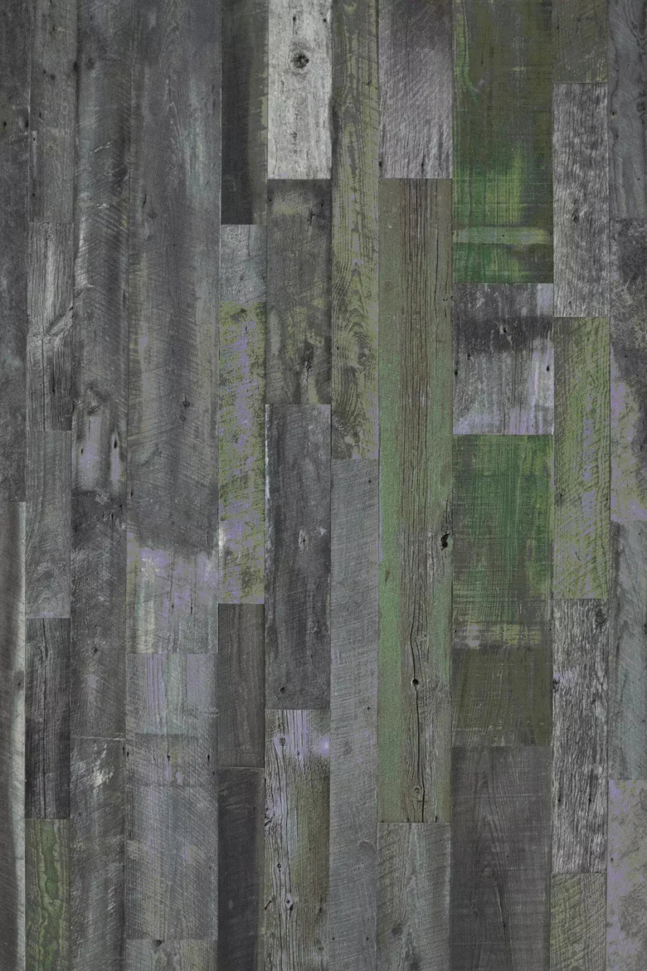 Evergreen Backdrop