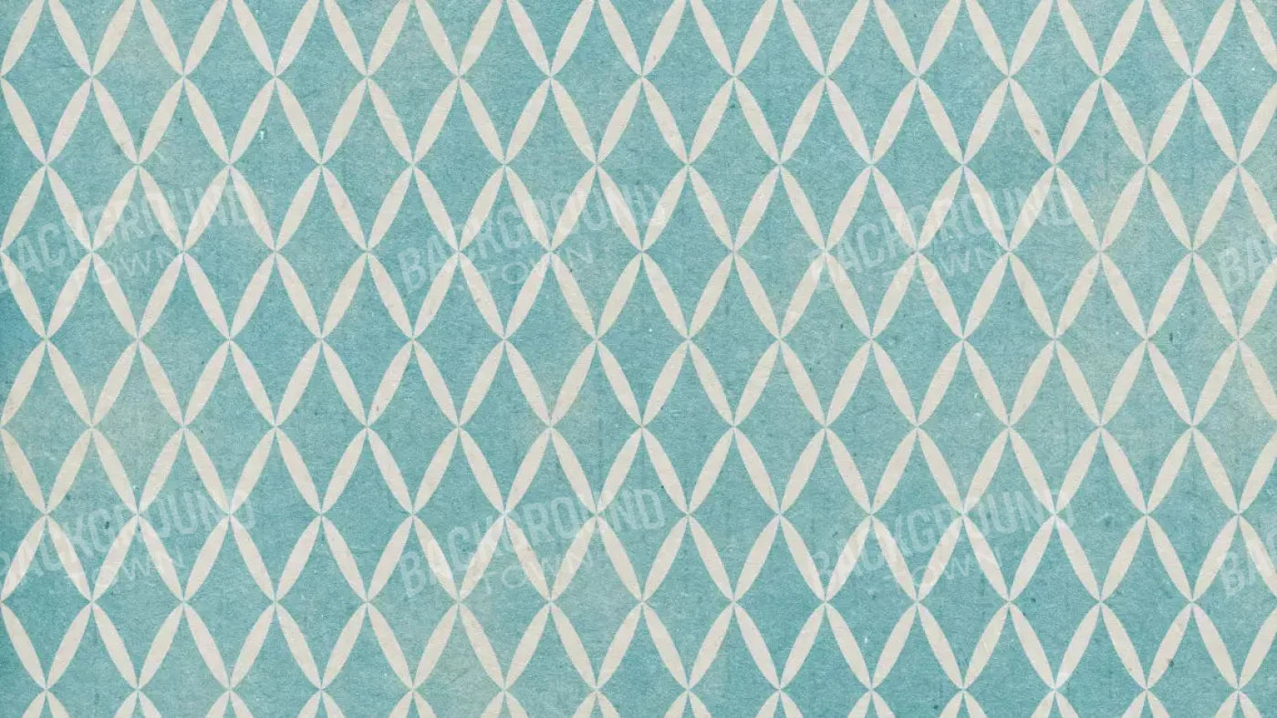 Excess 14X8 Ultracloth ( 168 X 96 Inch ) Backdrop