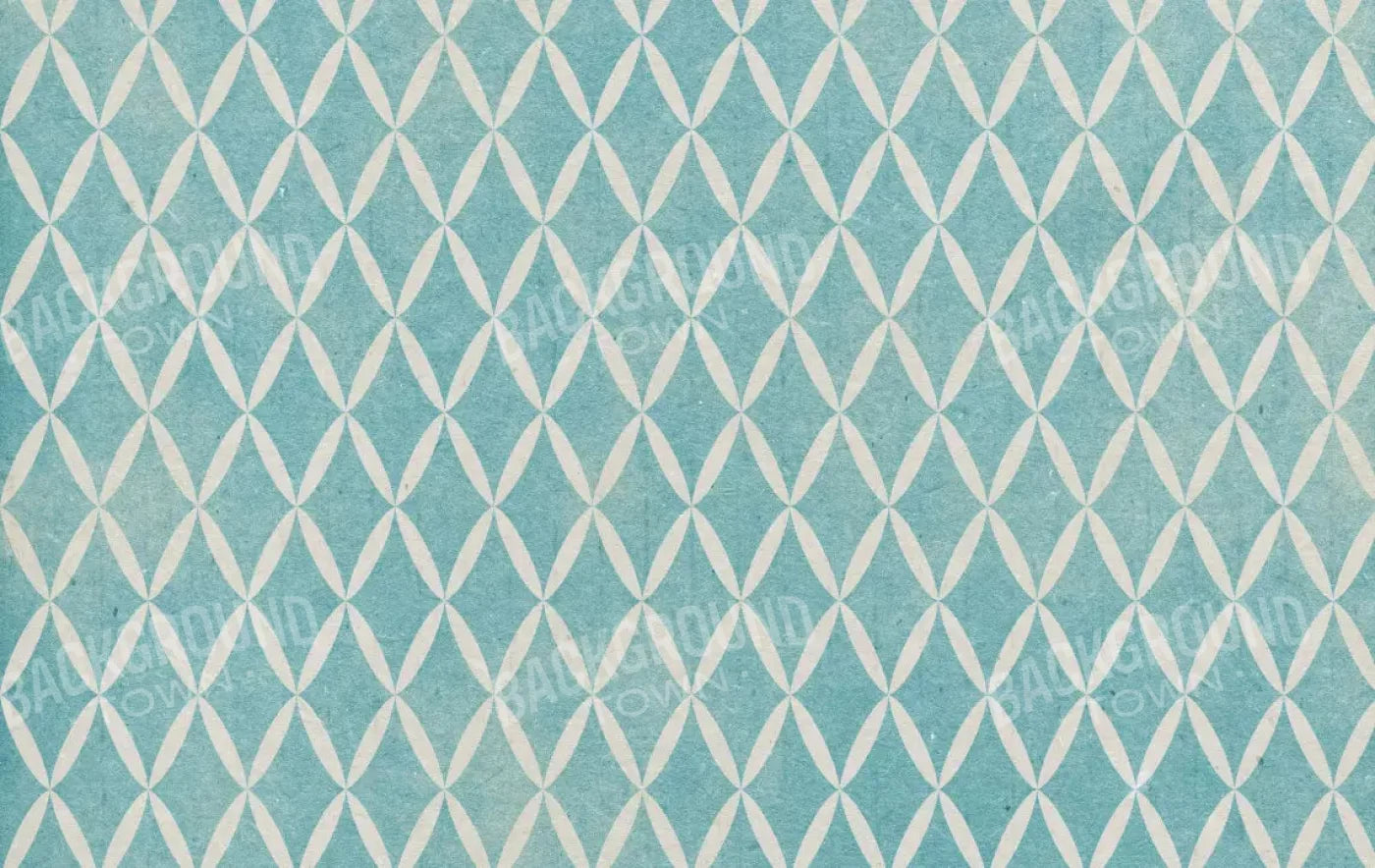 Excess 16X10 Ultracloth ( 192 X 120 Inch ) Backdrop