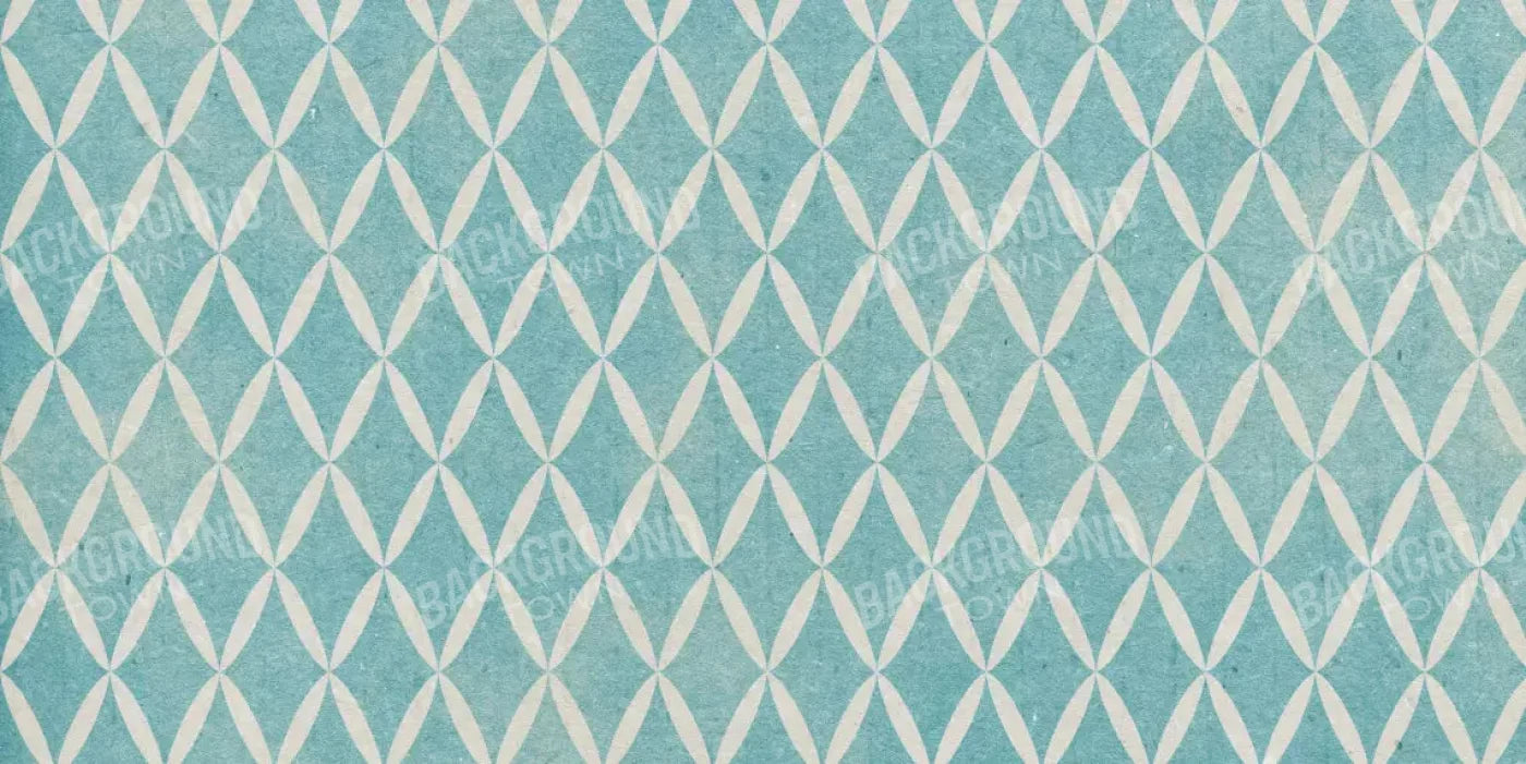 Excess 20X10 Ultracloth ( 240 X 120 Inch ) Backdrop