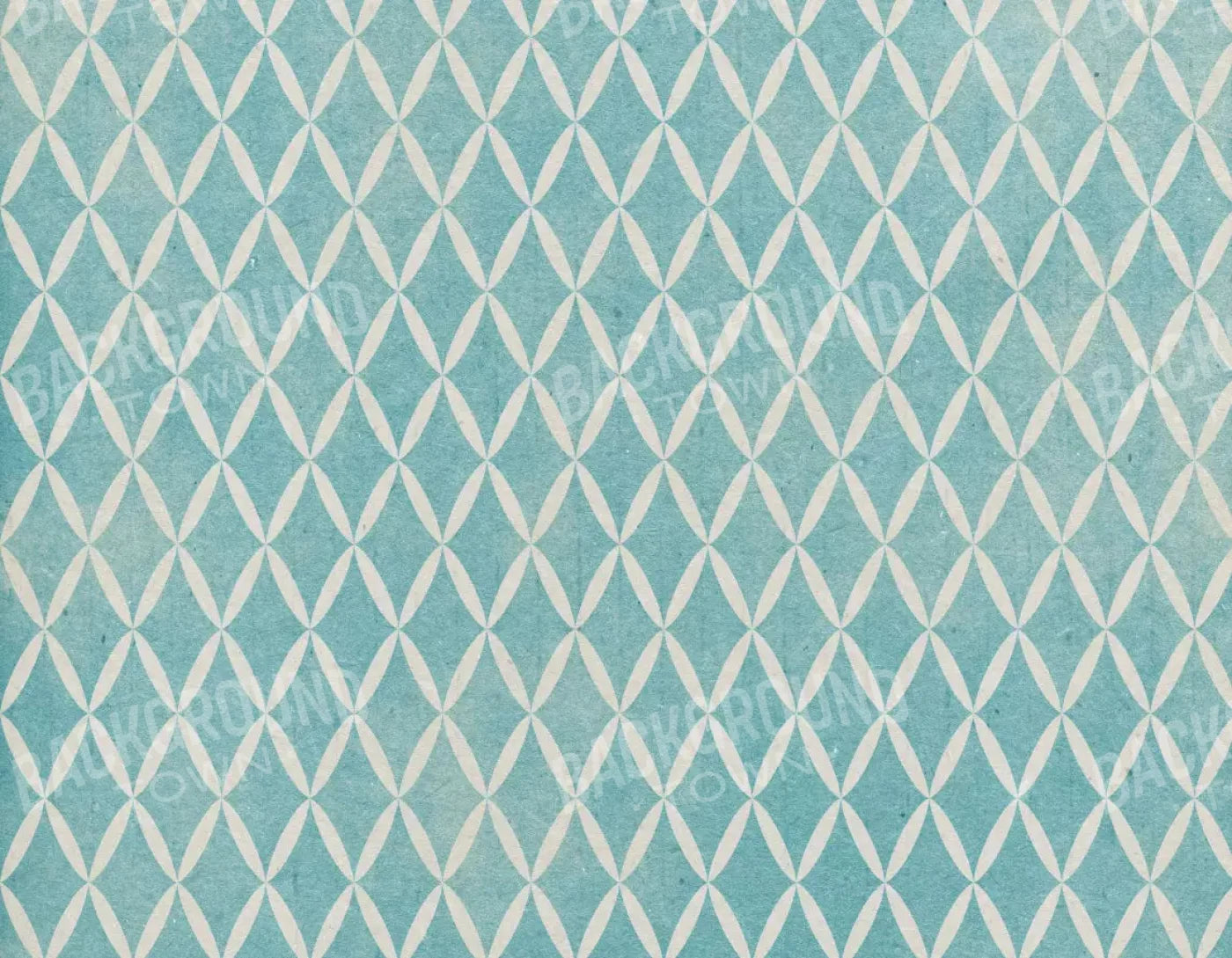 Excess 8X6 Fleece ( 96 X 72 Inch ) Backdrop