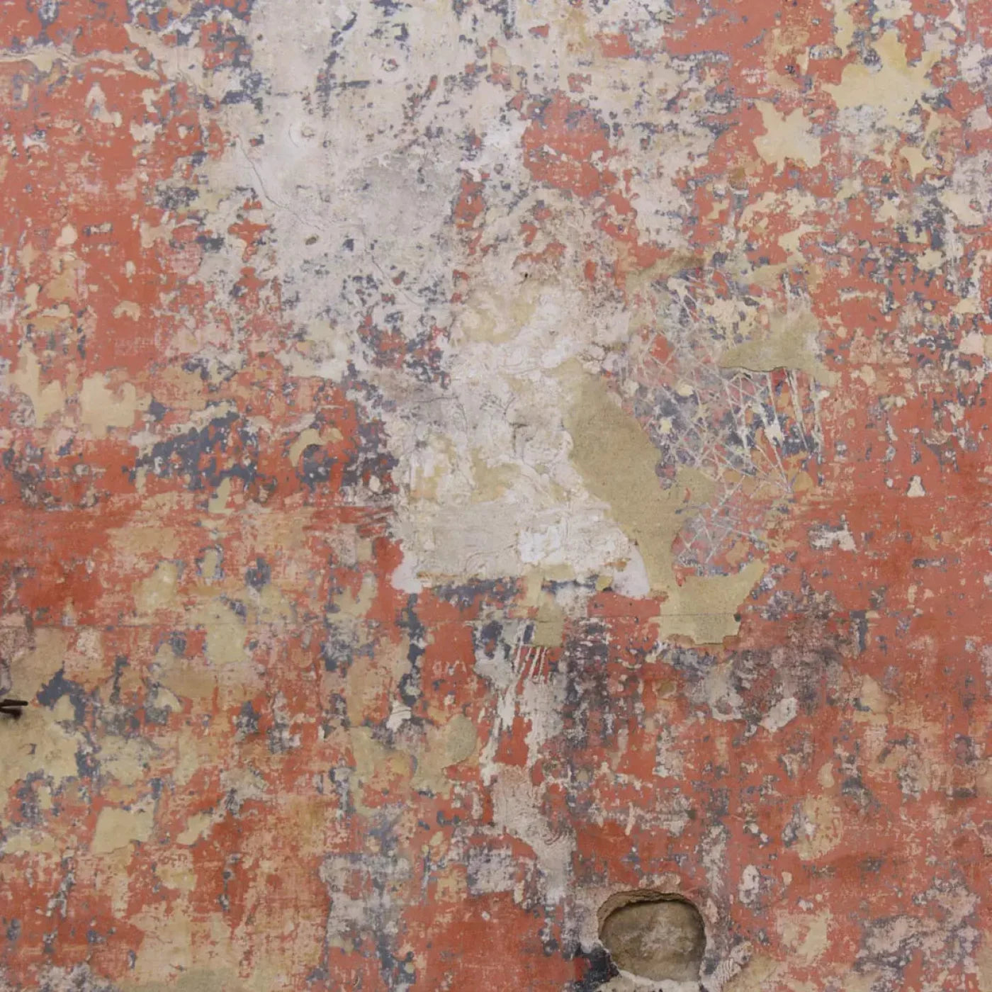 Exempt 10X10 Ultracloth ( 120 X Inch ) Backdrop