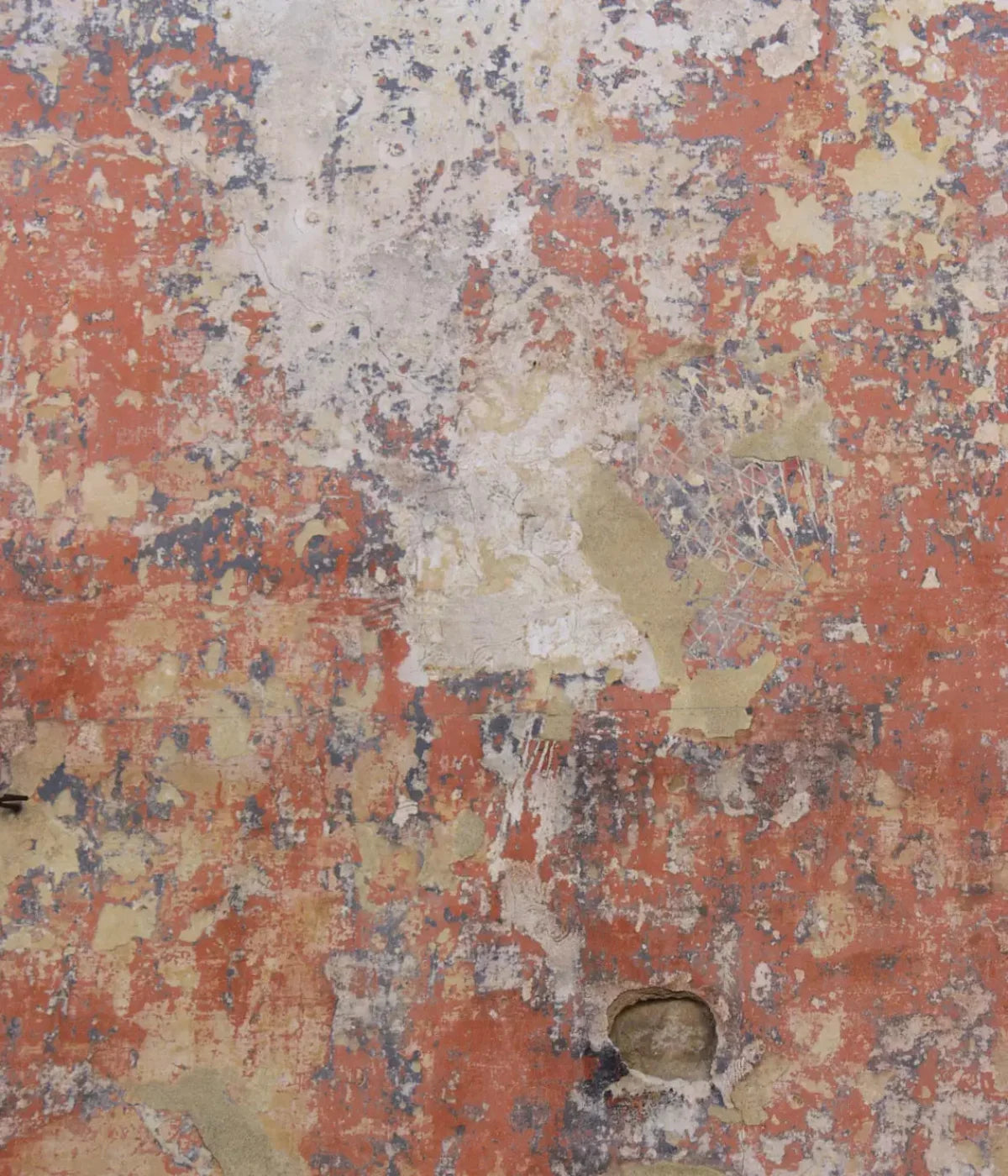 Exempt 10X12 Ultracloth ( 120 X 144 Inch ) Backdrop