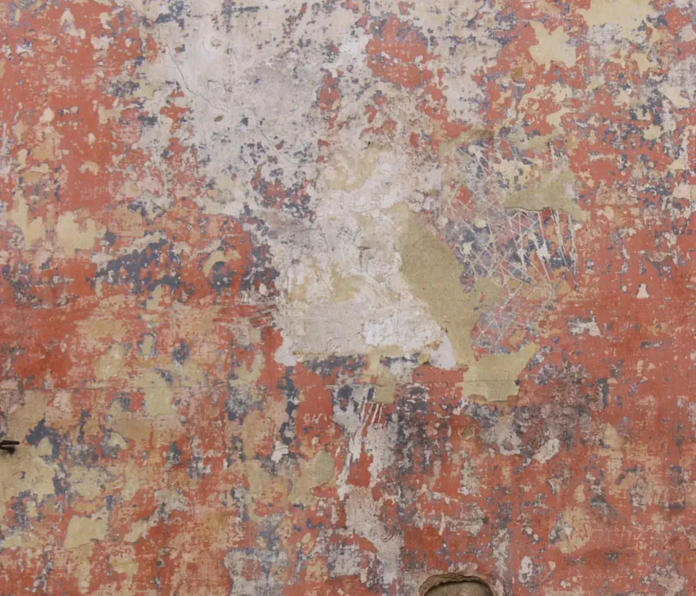 Exempt 12X10 Ultracloth ( 144 X 120 Inch ) Backdrop