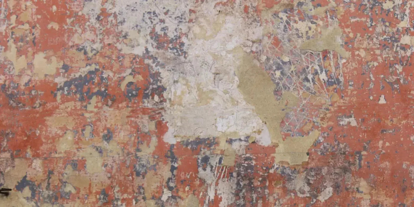 Exempt 20X10 Ultracloth ( 240 X 120 Inch ) Backdrop