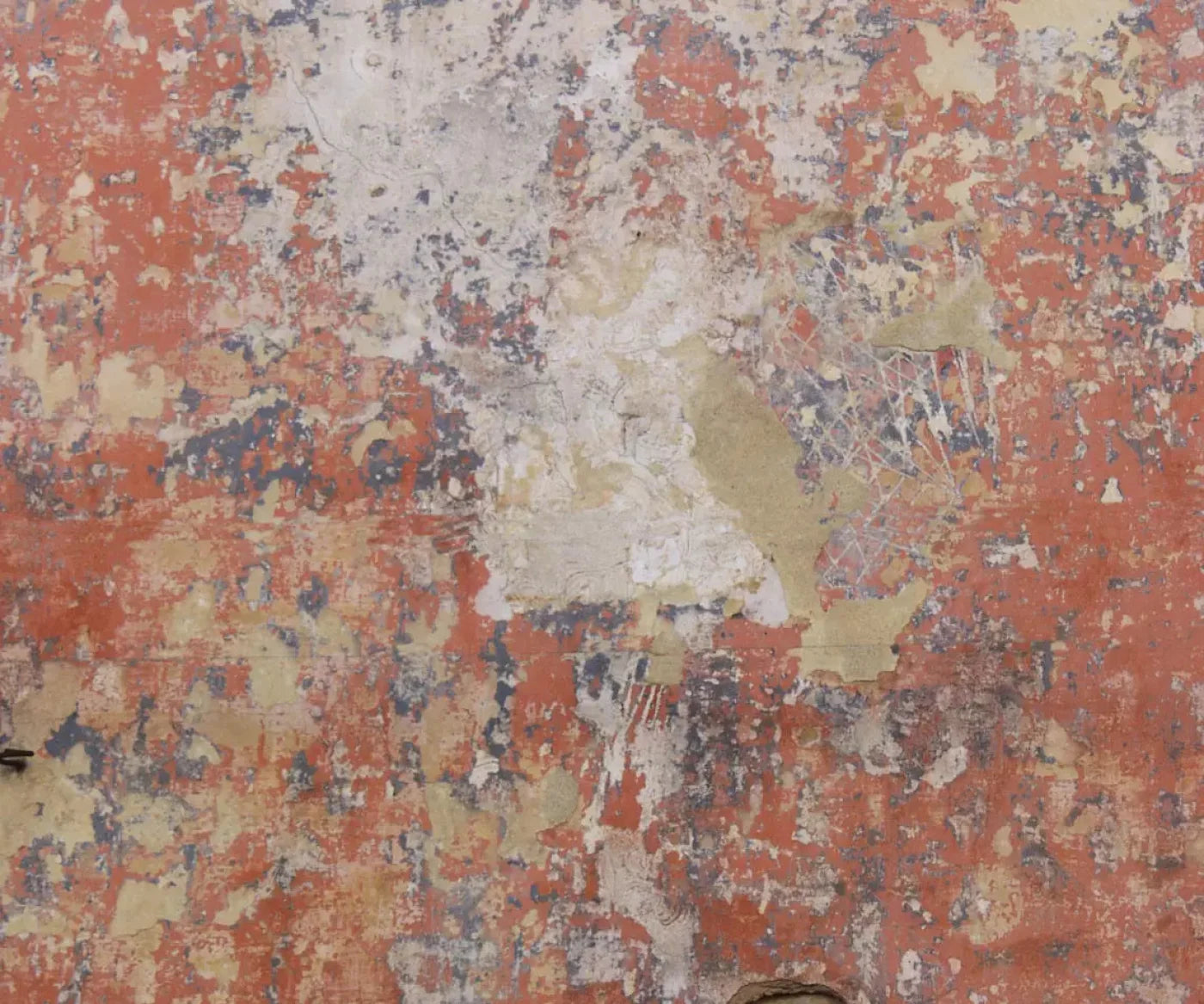 Exempt 5X42 Fleece ( 60 X 50 Inch ) Backdrop