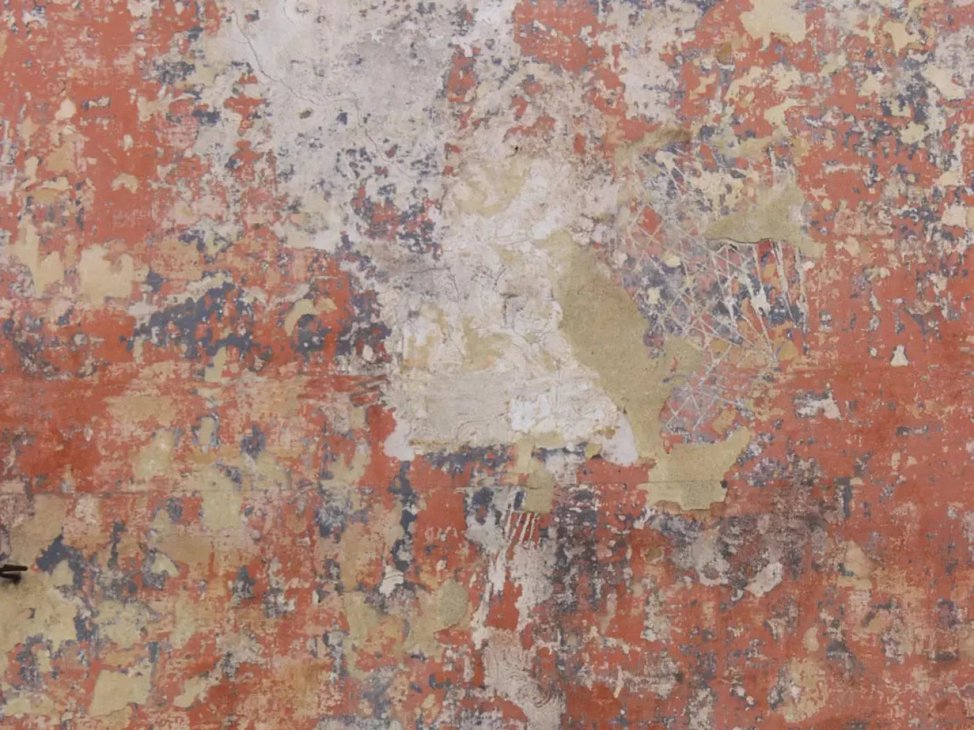 Exempt 68X5 Fleece ( 80 X 60 Inch ) Backdrop