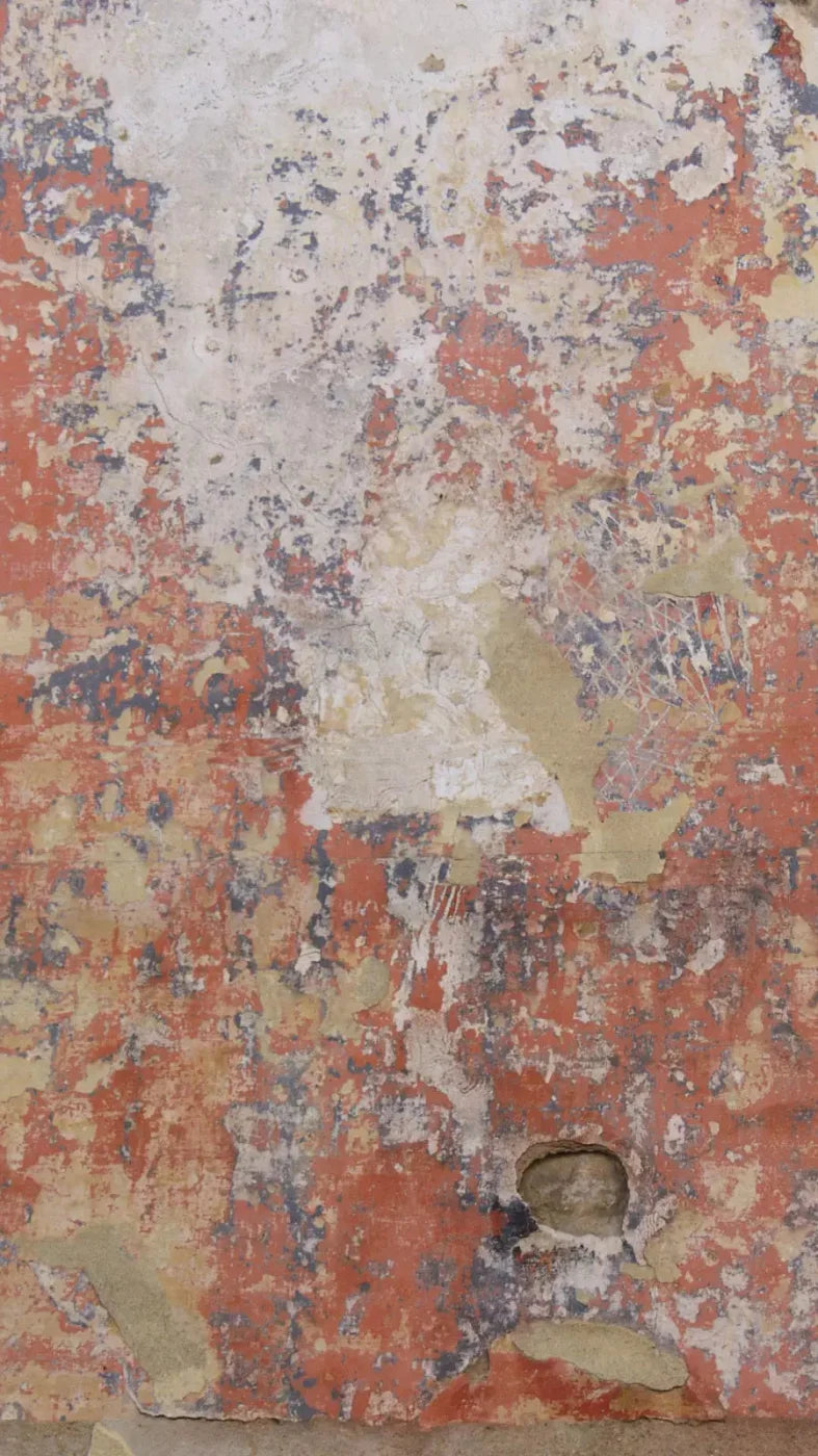 Exempt 8X14 Ultracloth ( 96 X 168 Inch ) Backdrop