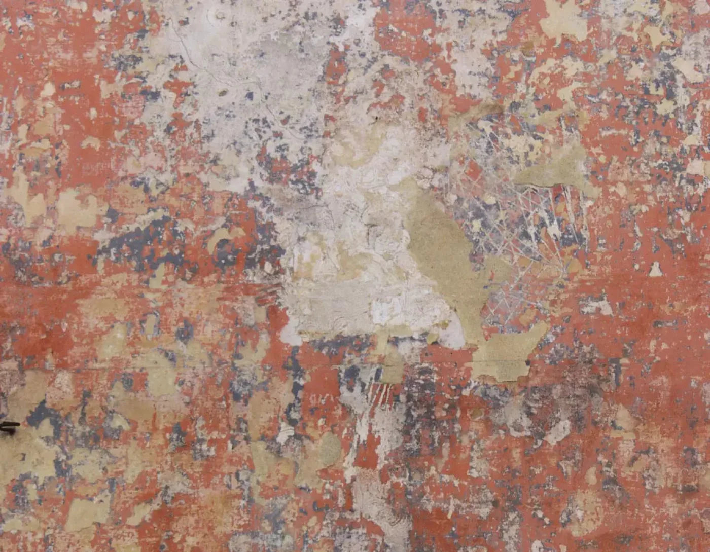 Exempt 8X6 Fleece ( 96 X 72 Inch ) Backdrop