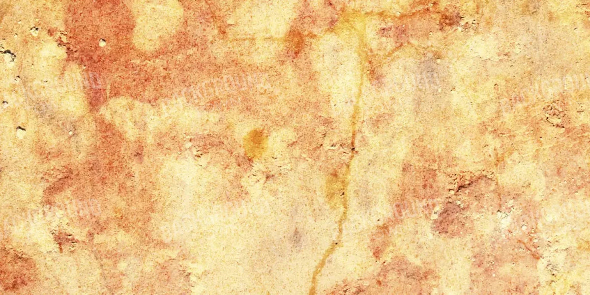 Exist 20X10 Ultracloth ( 240 X 120 Inch ) Backdrop