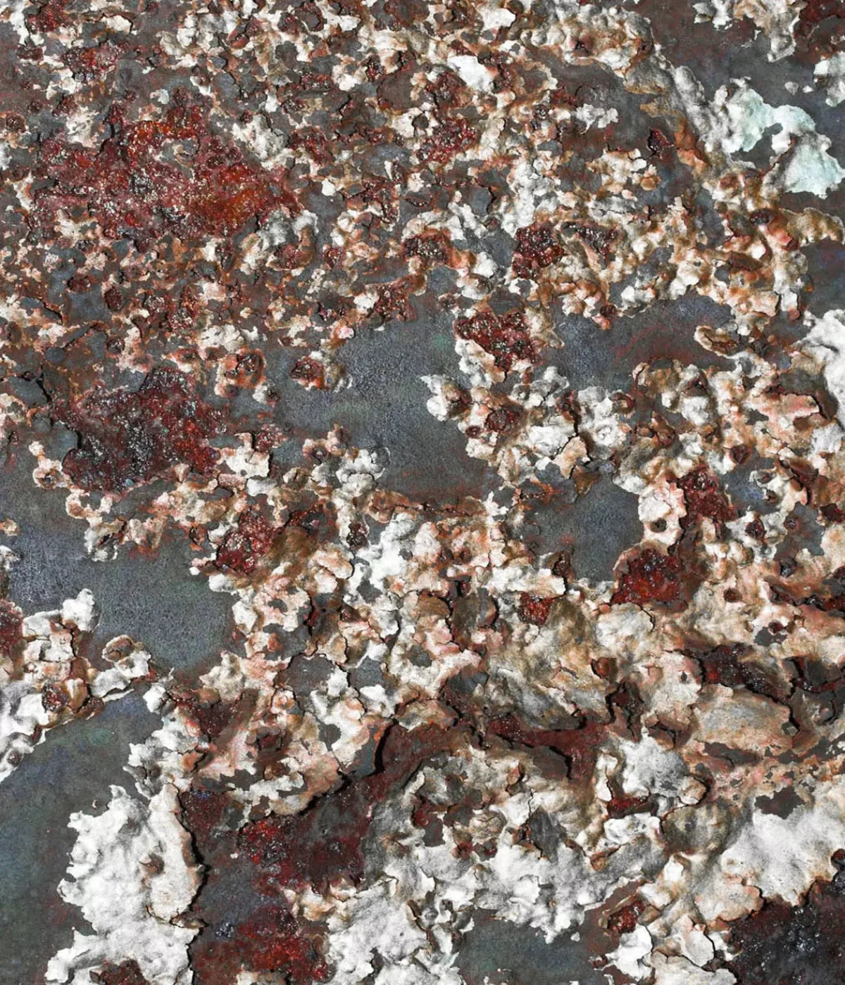 Expunge 10X12 Ultracloth ( 120 X 144 Inch ) Backdrop