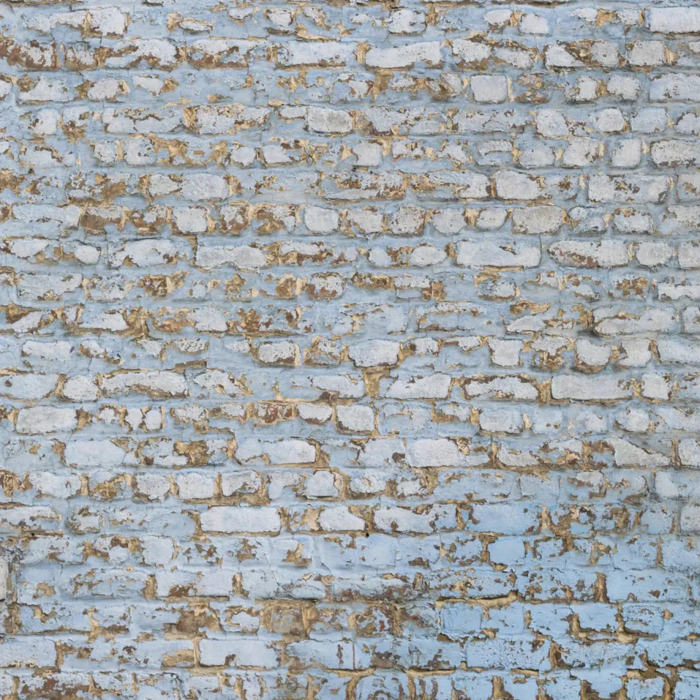 Exterior 10X10 Ultracloth ( 120 X Inch ) Backdrop