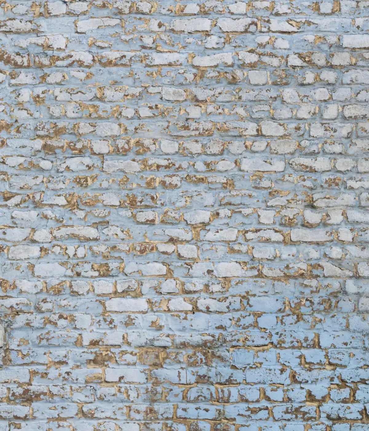 Exterior 10X12 Ultracloth ( 120 X 144 Inch ) Backdrop