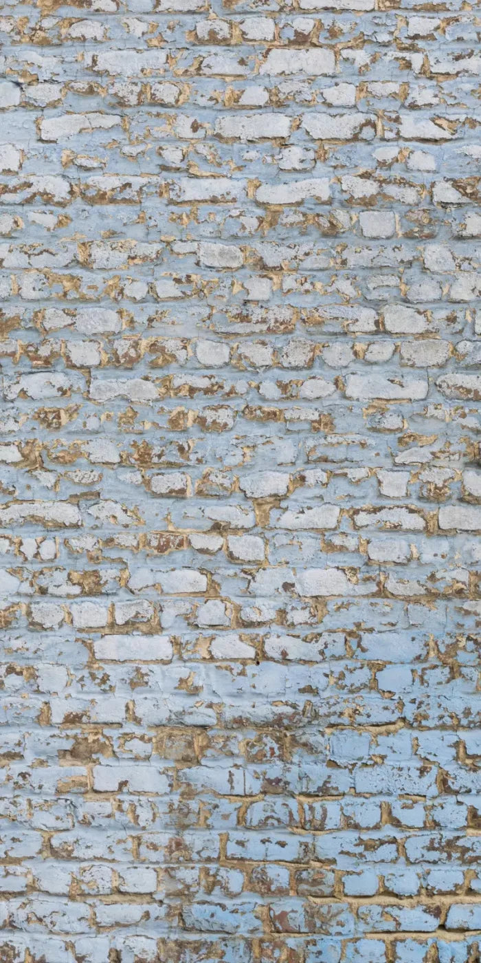 Exterior 10X20 Ultracloth ( 120 X 240 Inch ) Backdrop
