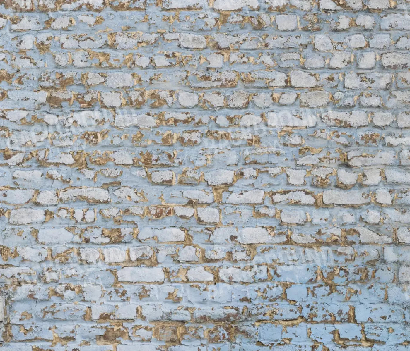 Exterior 12X10 Ultracloth ( 144 X 120 Inch ) Backdrop