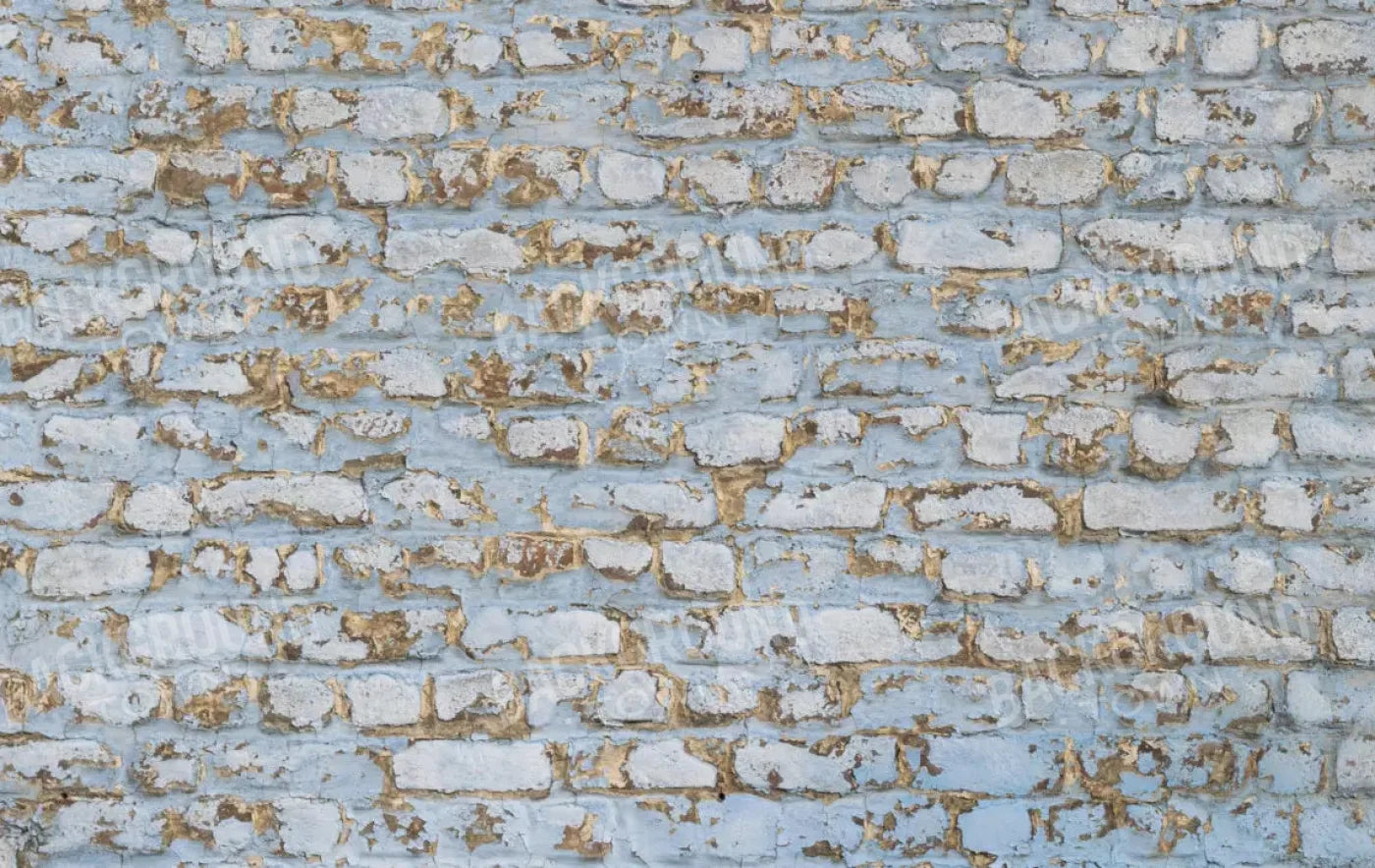 Exterior 16X10 Ultracloth ( 192 X 120 Inch ) Backdrop