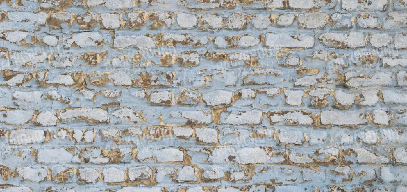 Exterior 16X8 Ultracloth ( 192 X 96 Inch ) Backdrop