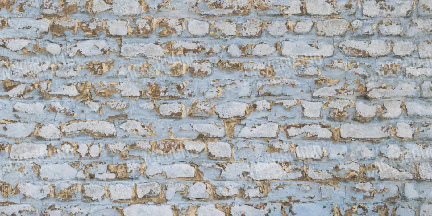 Exterior 20X10 Ultracloth ( 240 X 120 Inch ) Backdrop