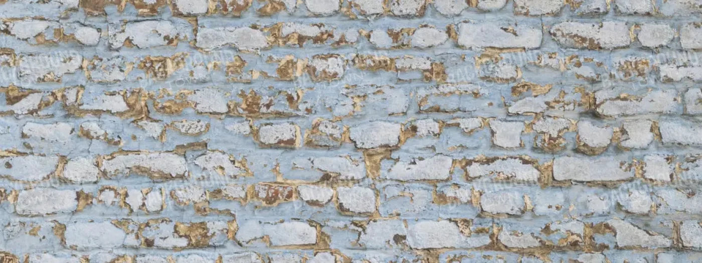 Exterior 20X8 Ultracloth ( 240 X 96 Inch ) Backdrop