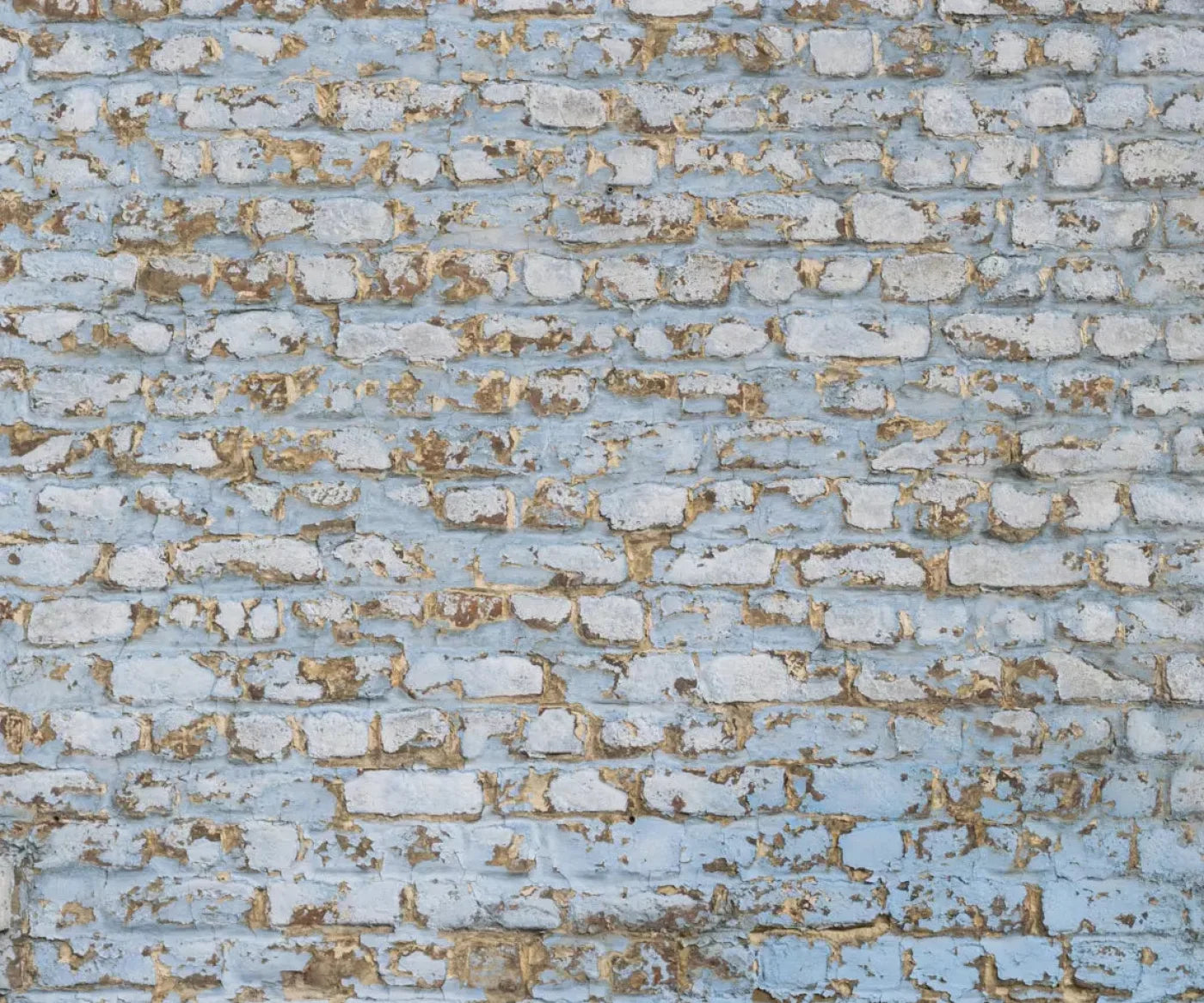 Exterior 5X42 Fleece ( 60 X 50 Inch ) Backdrop