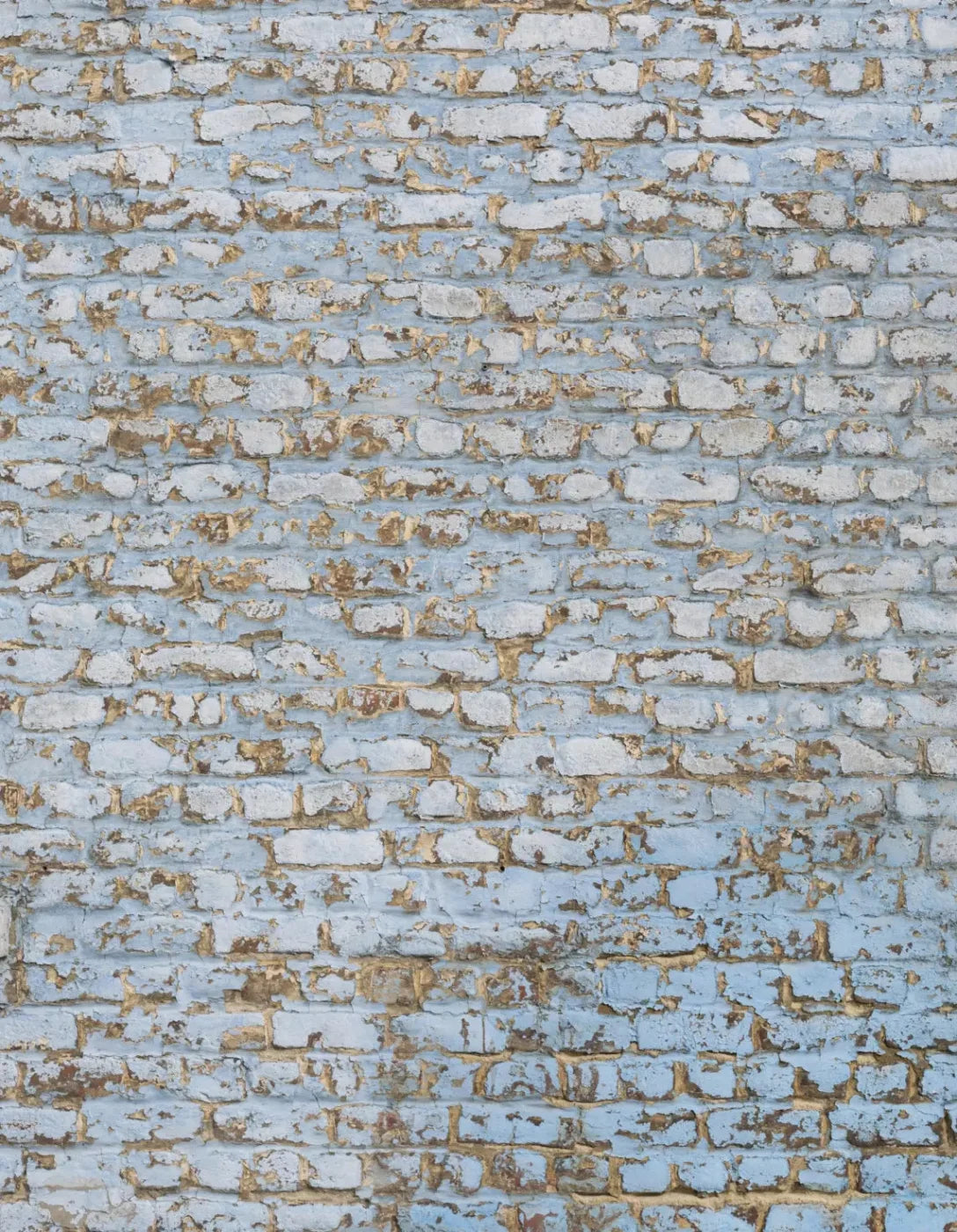 Exterior 6X8 Fleece ( 72 X 96 Inch ) Backdrop