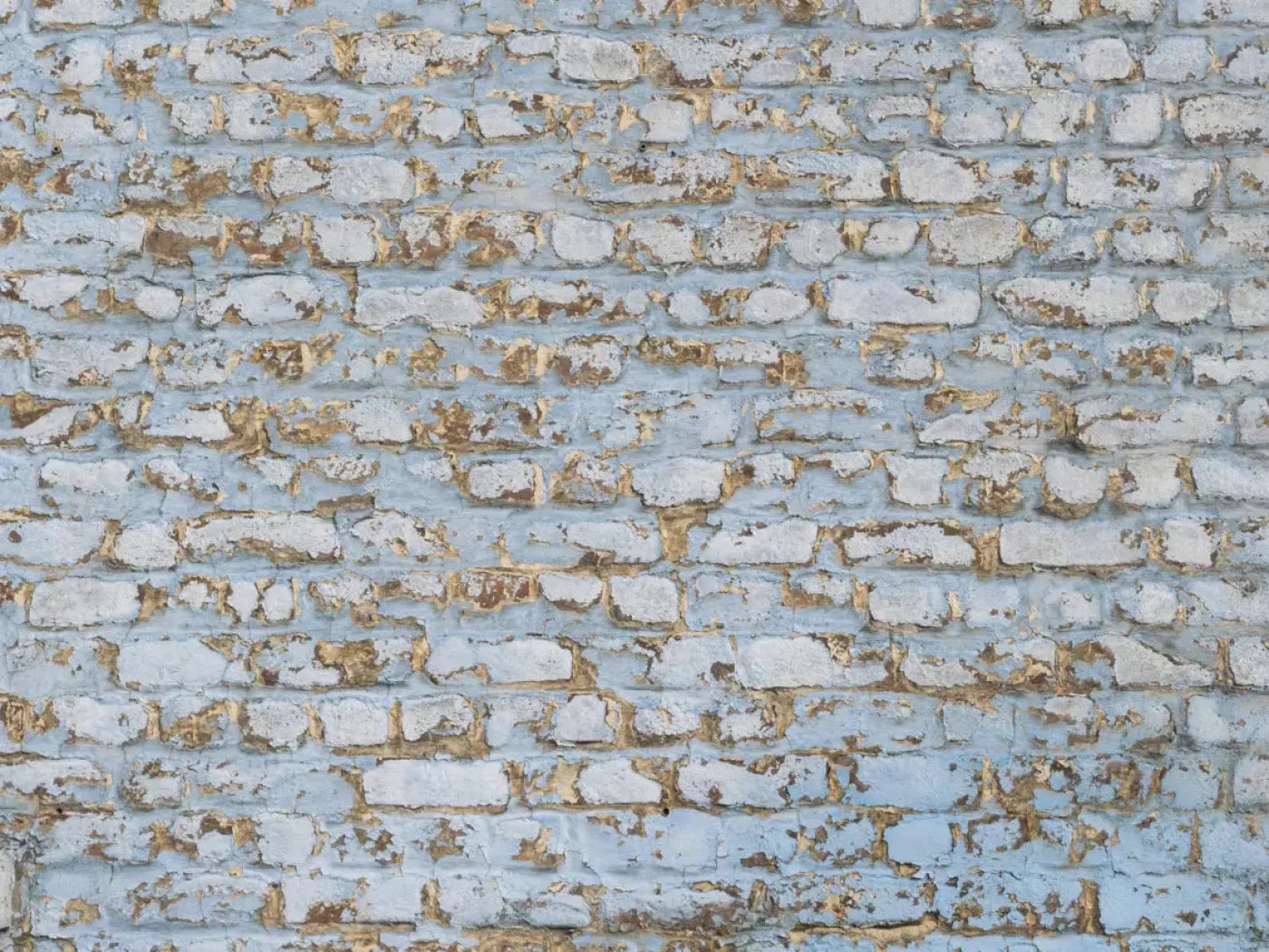 Exterior 7X5 Ultracloth ( 84 X 60 Inch ) Backdrop