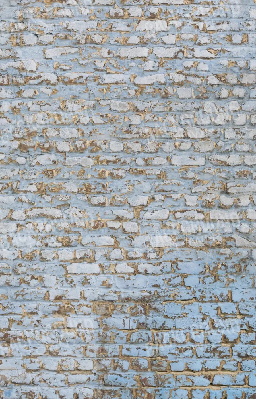 Exterior 8X12 Ultracloth ( 96 X 144 Inch ) Backdrop