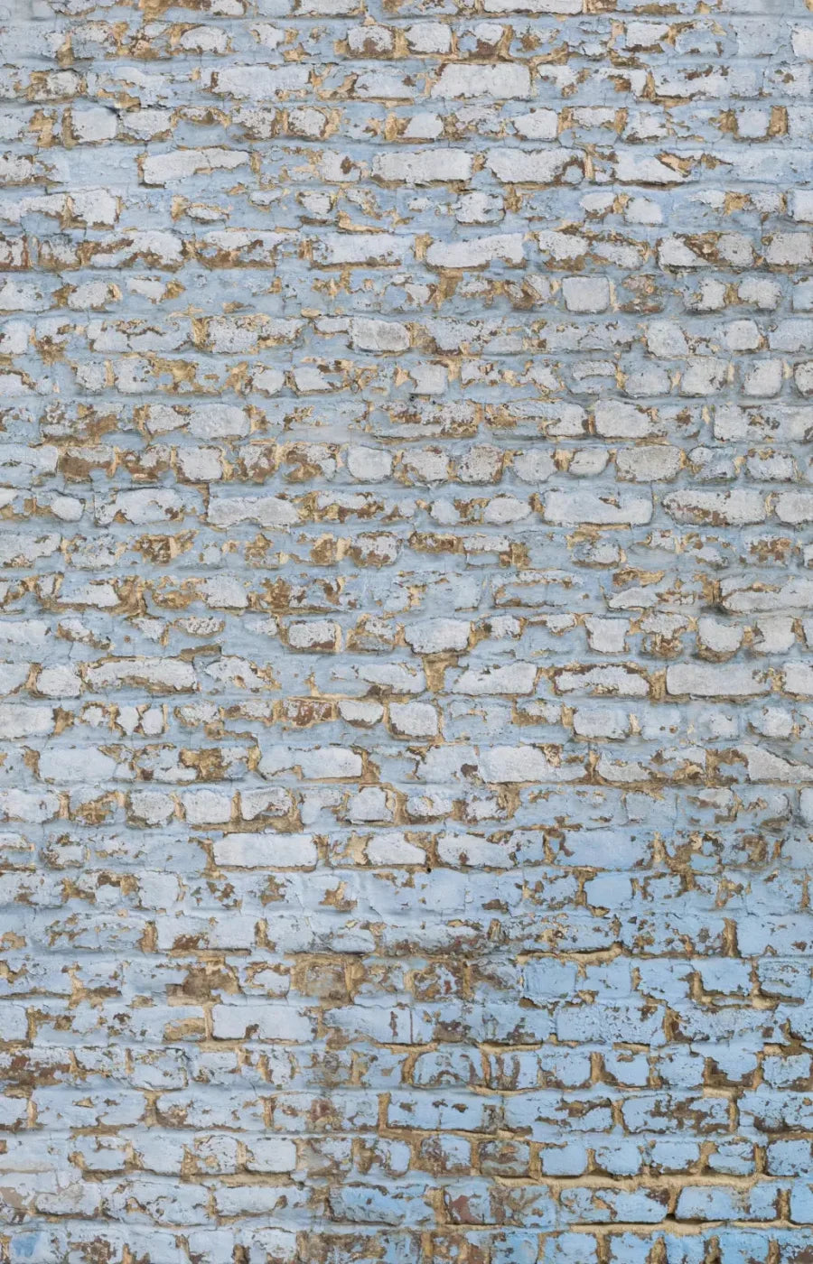 Exterior 8X12 Ultracloth ( 96 X 144 Inch ) Backdrop