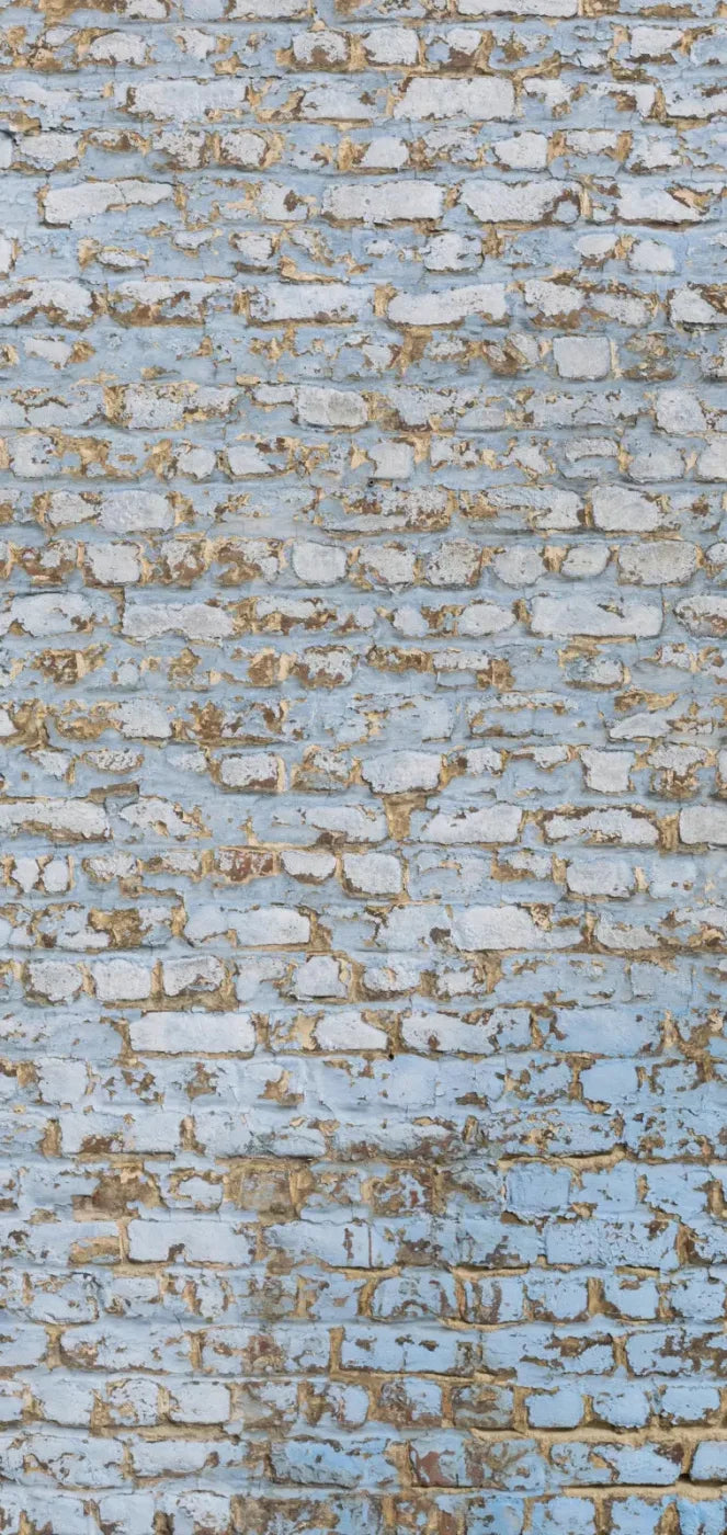 Exterior 8X16 Ultracloth ( 96 X 192 Inch ) Backdrop