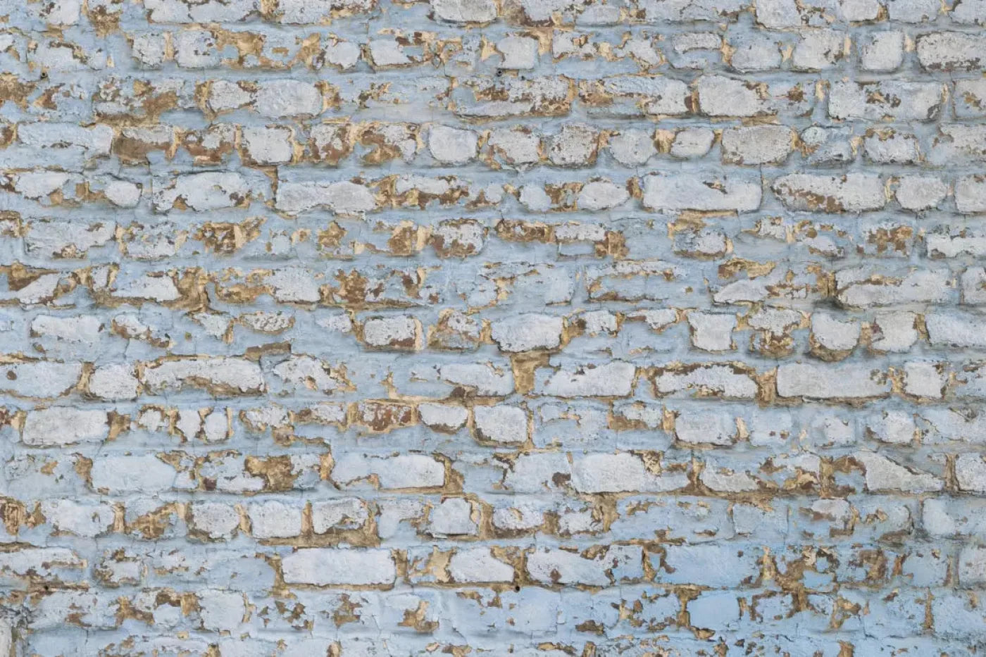 Exterior 8X5 Ultracloth ( 96 X 60 Inch ) Backdrop