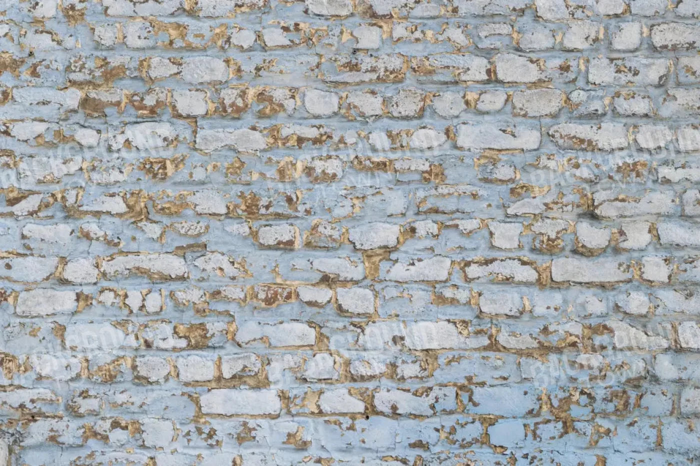 Exterior 8X5 Ultracloth ( 96 X 60 Inch ) Backdrop