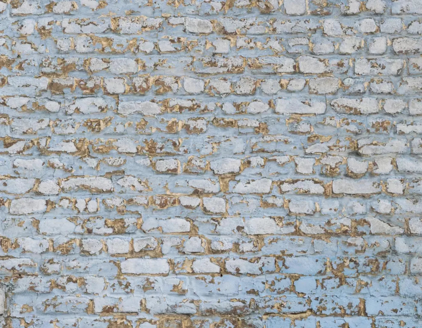 Exterior 8X6 Fleece ( 96 X 72 Inch ) Backdrop