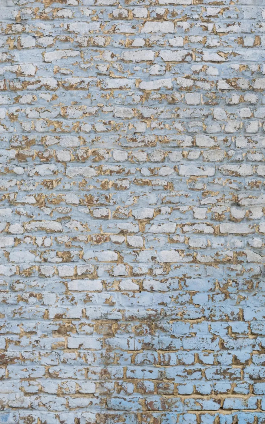 Exterior 9X14 Ultracloth ( 108 X 168 Inch ) Backdrop