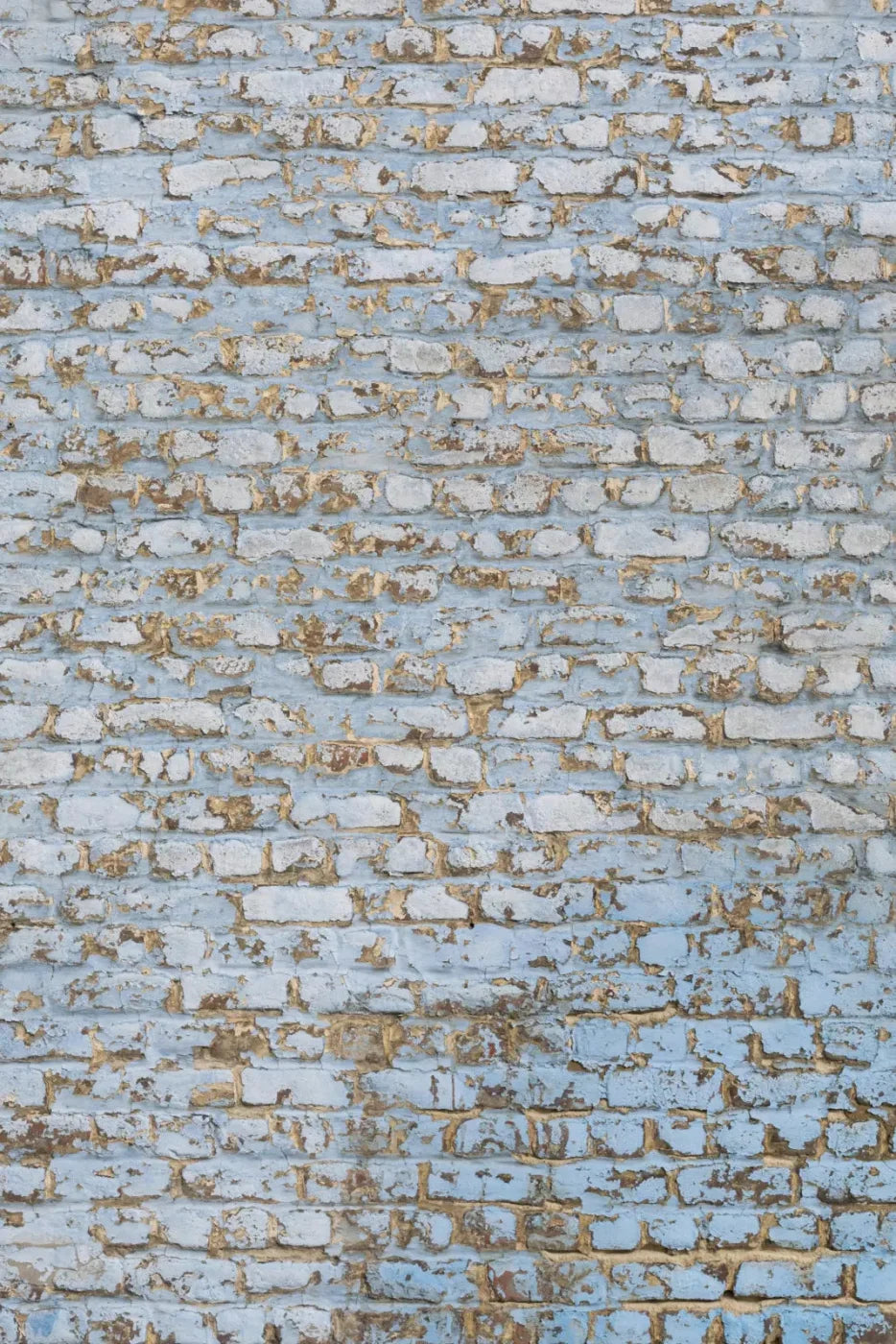 Exterior Backdrop