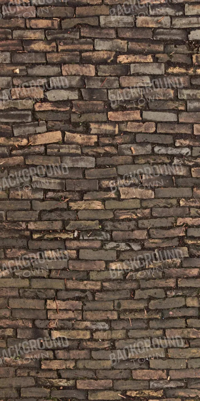 Facade 10X20 Ultracloth ( 120 X 240 Inch ) Backdrop