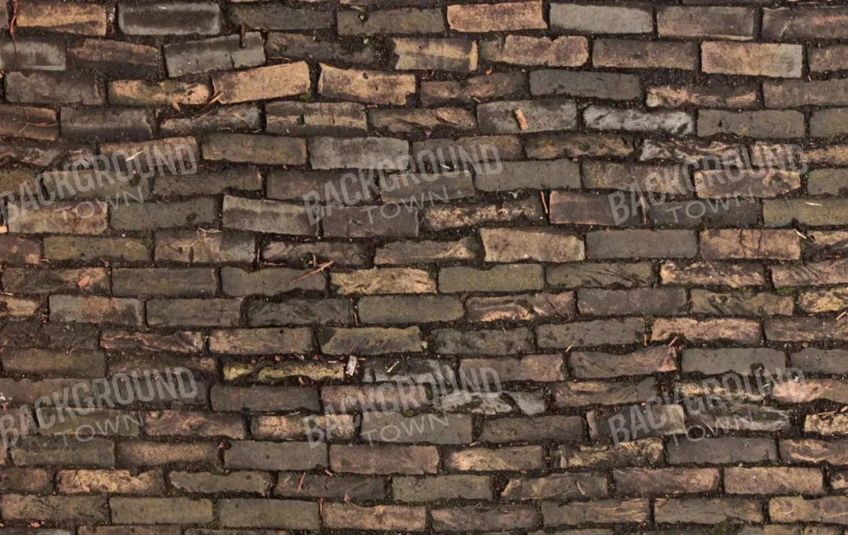 Facade 16X10 Ultracloth ( 192 X 120 Inch ) Backdrop