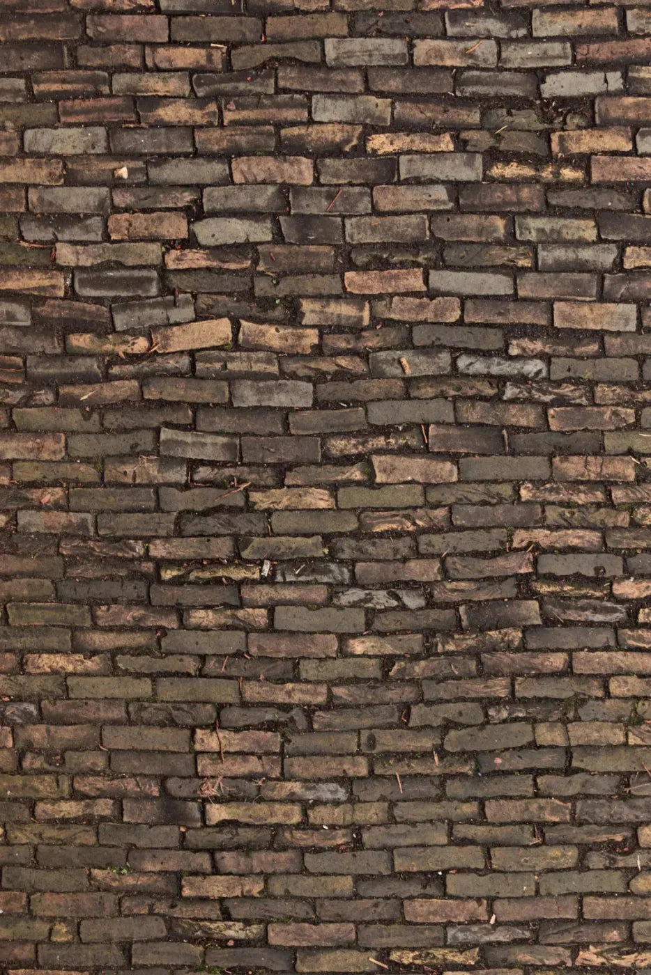 Facade Backdrop