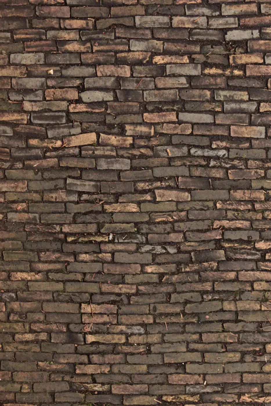 Facade Backdrop
