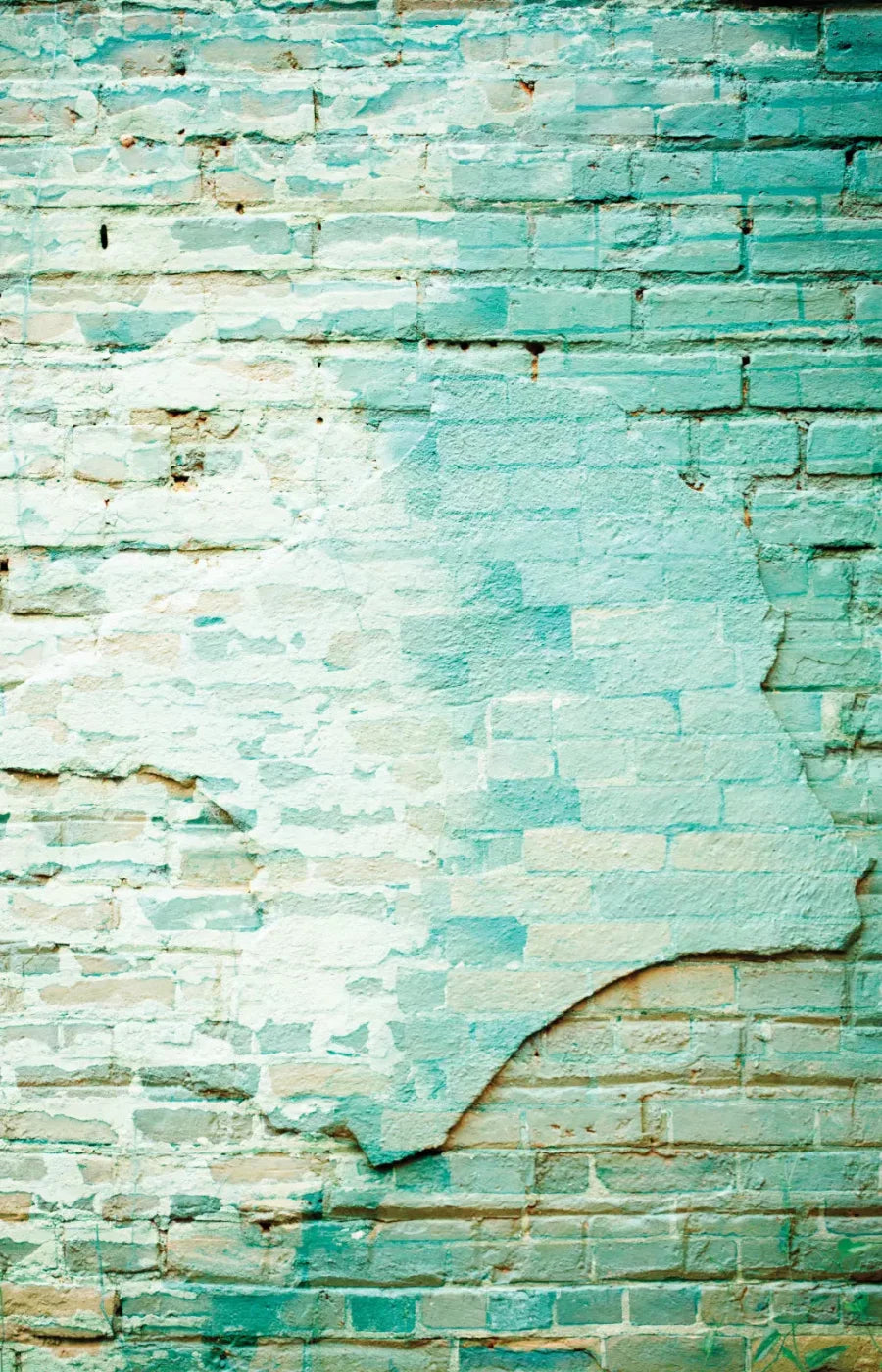 Faded 8X12 Ultracloth ( 96 X 144 Inch ) Backdrop