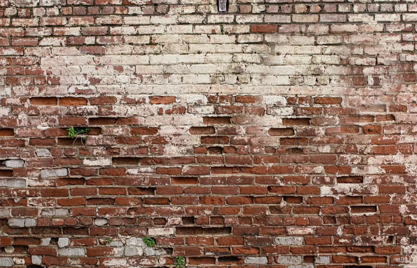 Brickwork 12X8 Ultracloth ( 144 X 96 Inch ) Backdrop