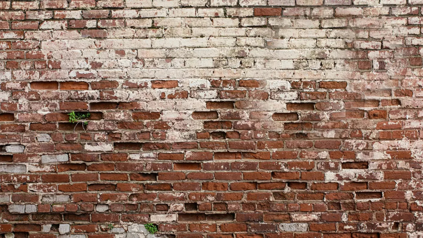 Brickwork 14X8 Ultracloth ( 168 X 96 Inch ) Backdrop