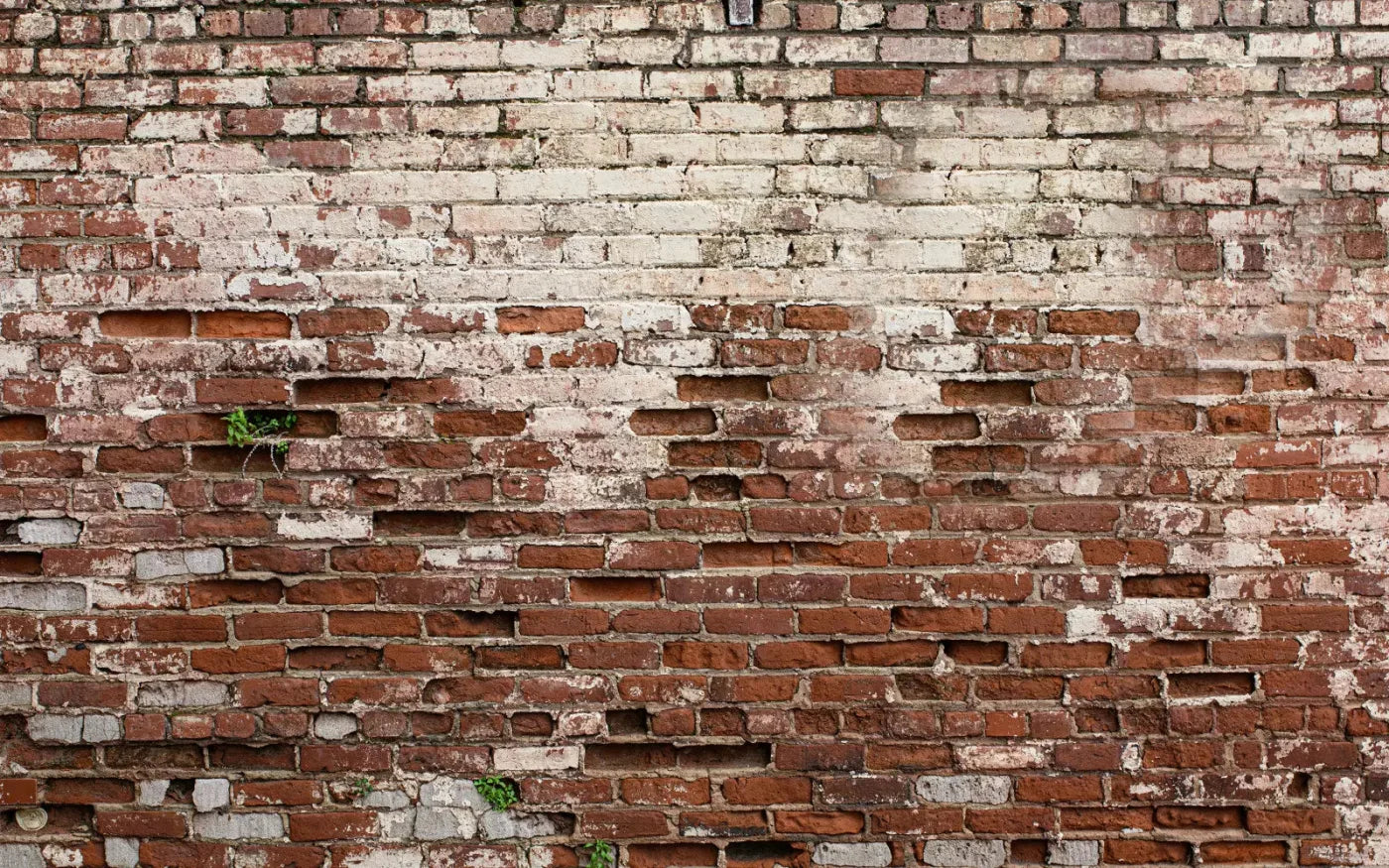 Brickwork 14X9 Ultracloth ( 168 X 108 Inch ) Backdrop